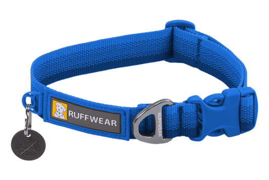 Ruffwear Front Range Dog Collar in Blue Pool